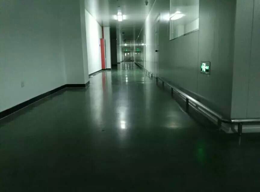 安斯福妙樂醫(yī)藥車間通道地面