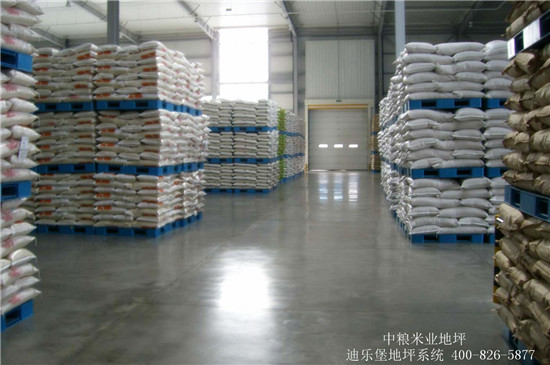 迪樂堡食品車間地坪