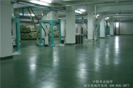 迪樂堡食品車間地坪