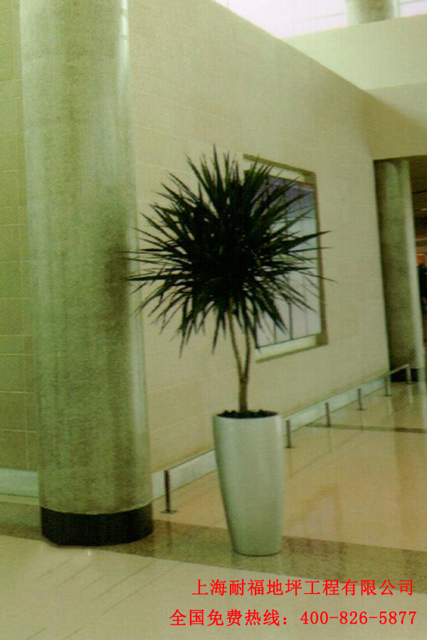 迪樂(lè)堡固化墻面