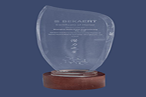 貝卡爾特潛力之星獎杯