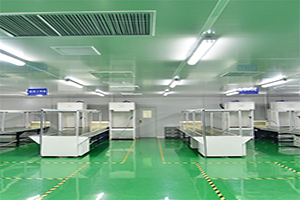 環(huán)氧防靜電地坪解決方案 環(huán)氧防靜電地坪解決方案